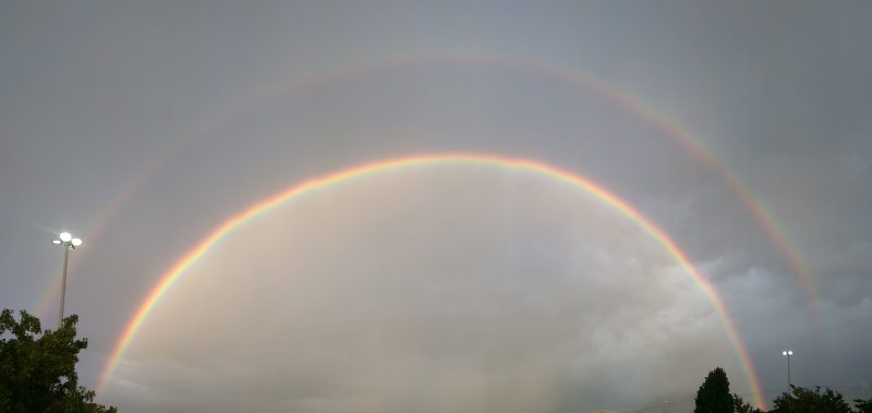 rainbow-cropped